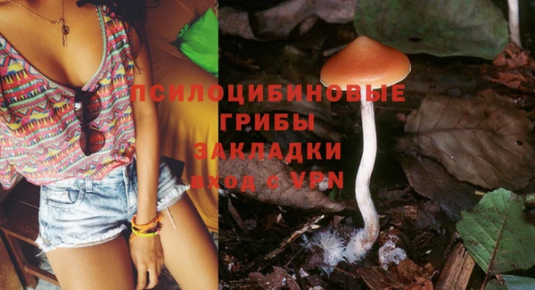 PSILOCYBIN Бугульма