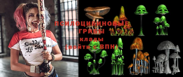 PSILOCYBIN Бугульма